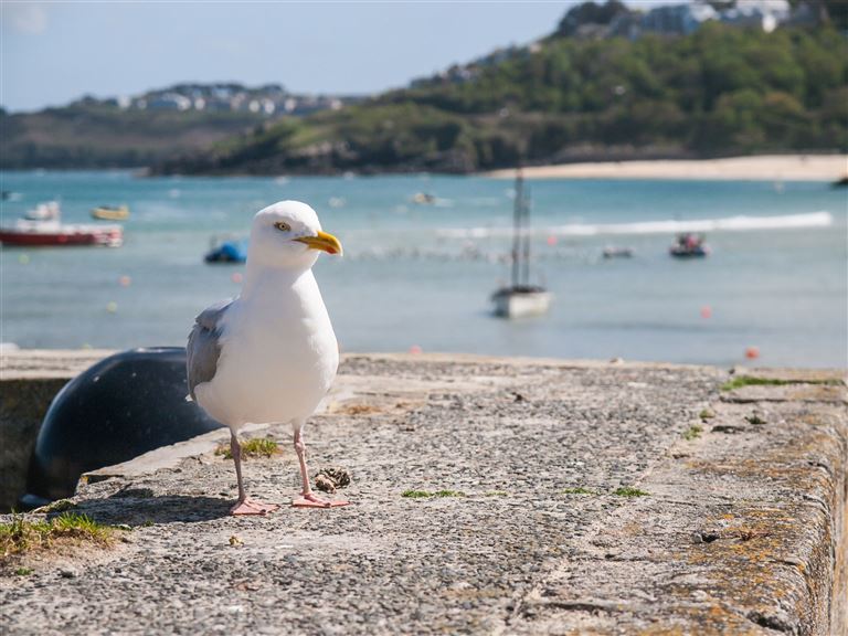 Bezauberndes Südengland ©mikedabell/istock